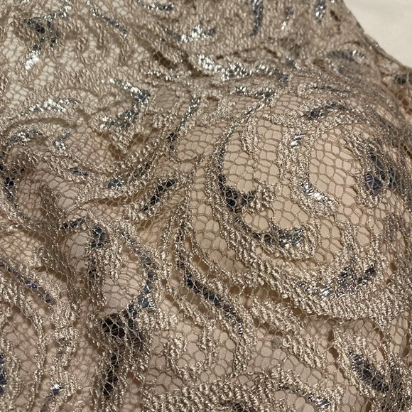 Jenny Yoo Collection Sliver and Cream Lace Cocktail Dress - Picture 6 of 12